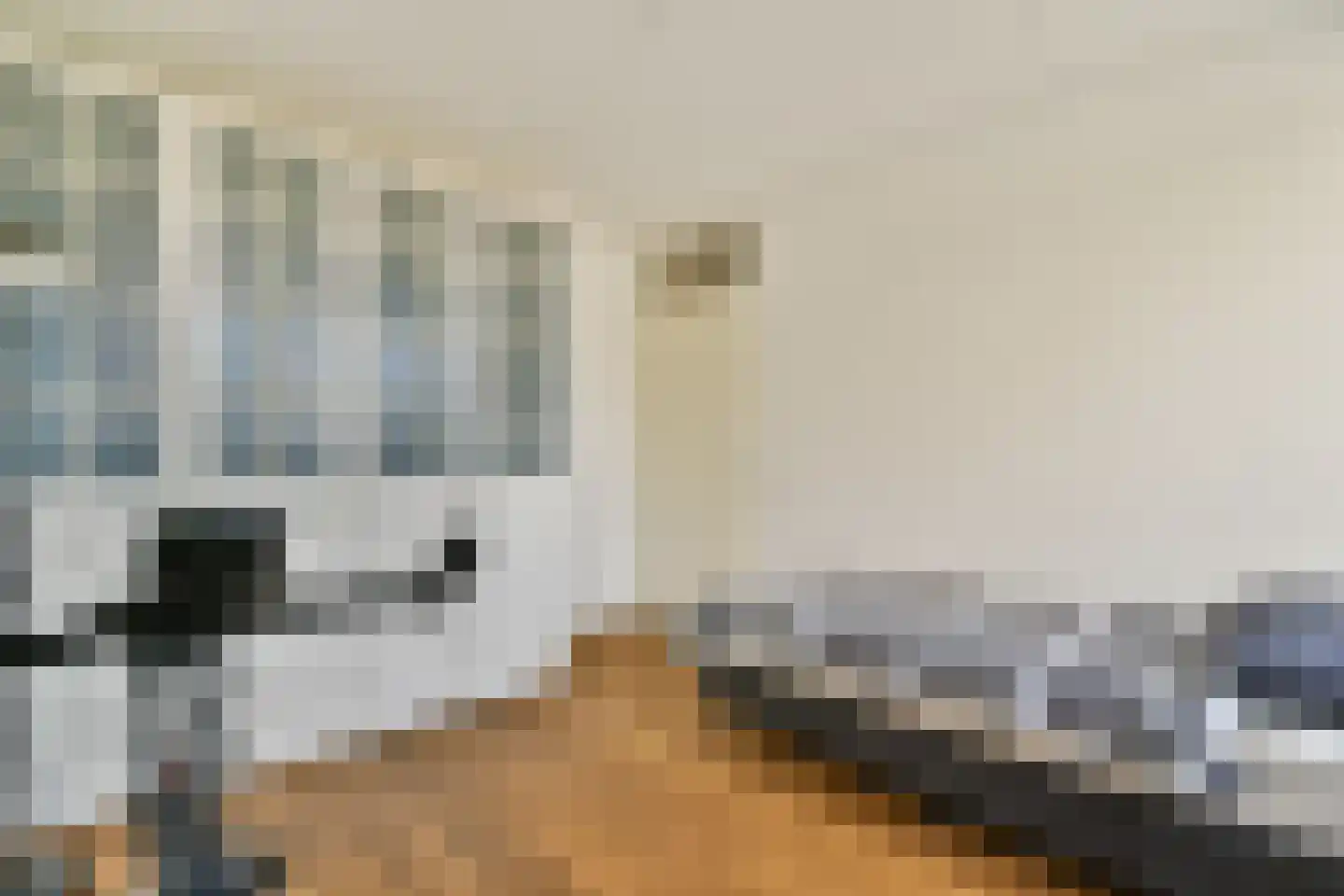 Talbotstraat 221 Amsterdam thumbnail 13