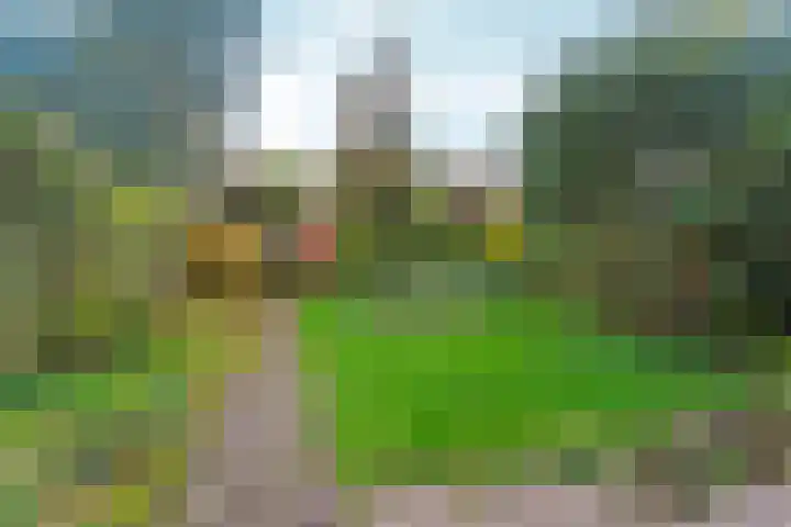 Talingsingel 36 Velp thumbnail 39