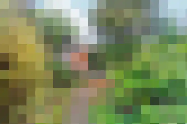 Talingsingel 36 Velp thumbnail 41