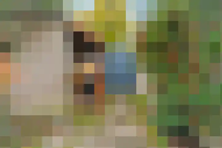 Talingsingel 36 Velp thumbnail 43