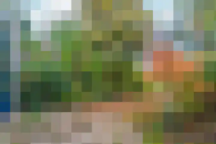 Talingsingel 36 Velp thumbnail 44
