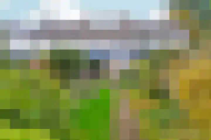 Talingsingel 36 Velp thumbnail 45