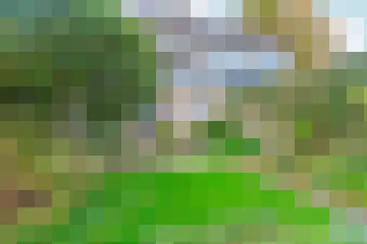 Talingsingel 36 Velp thumbnail 46