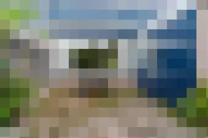 Talingsingel 36 Velp thumbnail 48