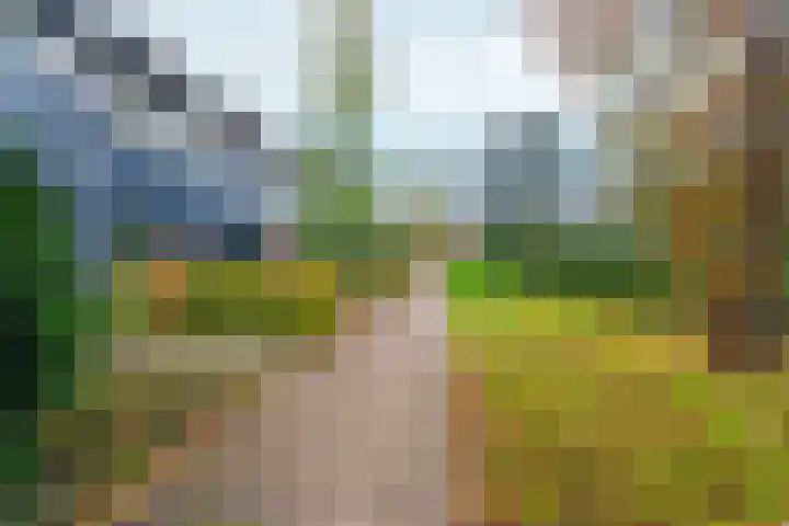 Talingsingel 36 Velp thumbnail 5