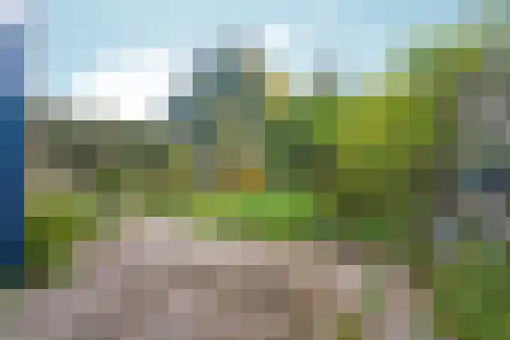 Talingsingel 36 Velp thumbnail 50