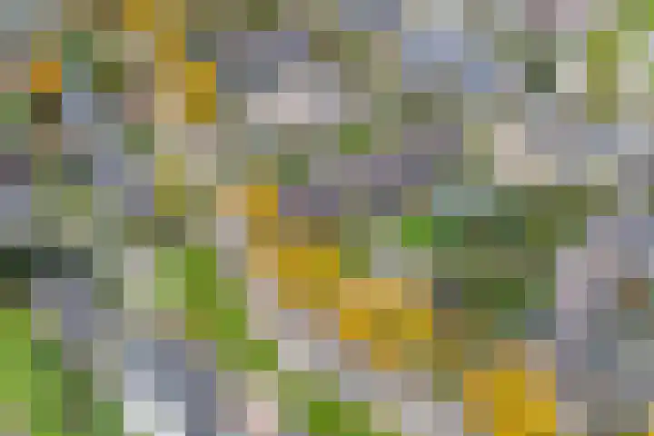 Talingsingel 36 Velp thumbnail 55