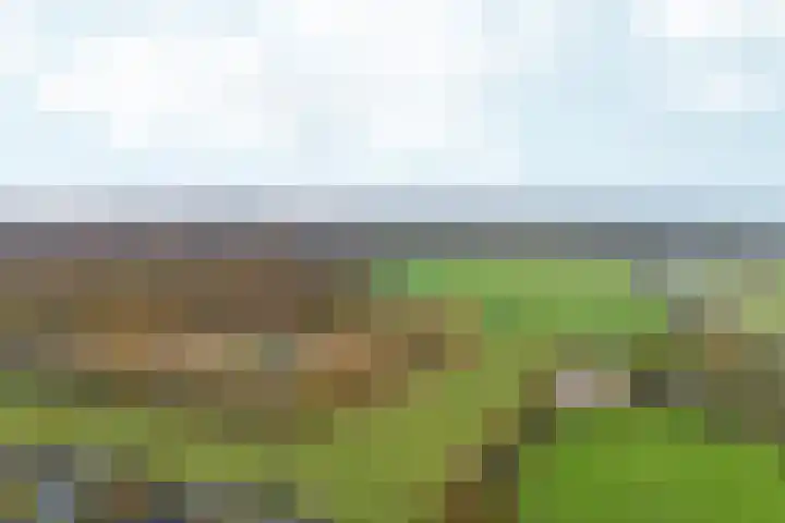 Talingsingel 36 Velp thumbnail 57