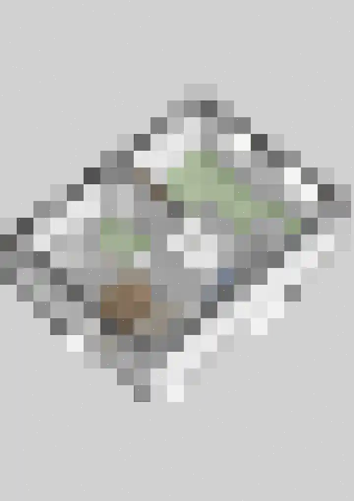 Talingsingel 36 Velp thumbnail 64