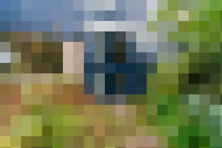 Talingsingel 36 Velp thumbnail 7