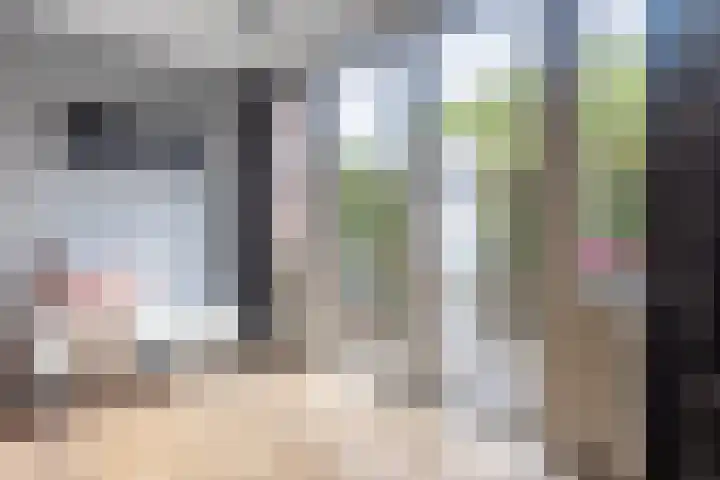 Talmalaan 2 Baarn thumbnail 10