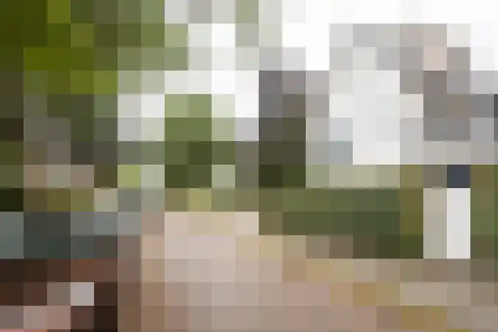 Talmalaan 2 Baarn thumbnail 32
