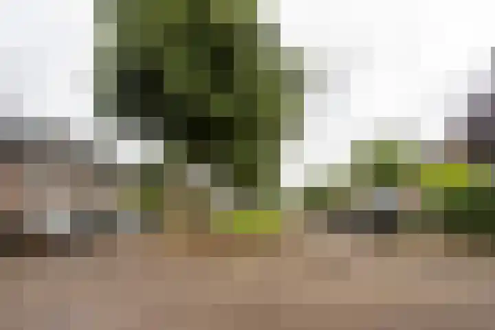 Talmalaan 2 Baarn thumbnail 34