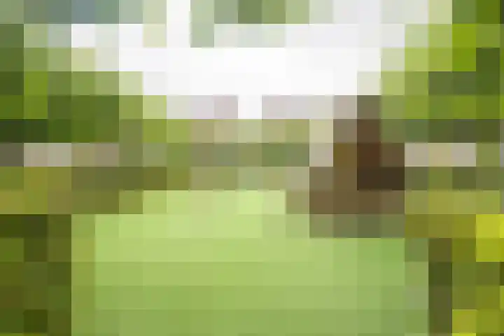 Talmalaan 2 Baarn thumbnail 35