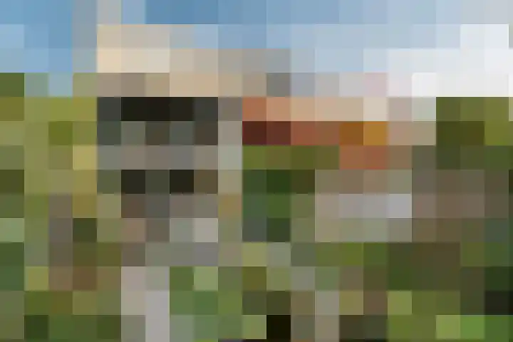 Talmalaan 23 Zeist thumbnail 21