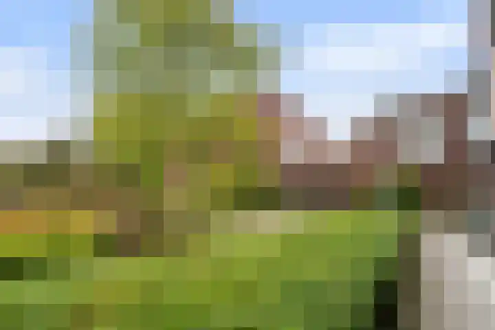 Talmalaan 89 Utrecht thumbnail 54