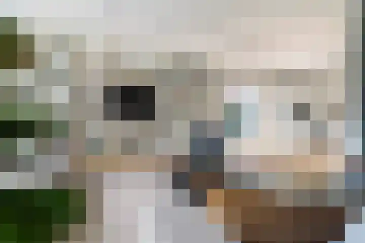 Talmalaan 89 Utrecht thumbnail 9