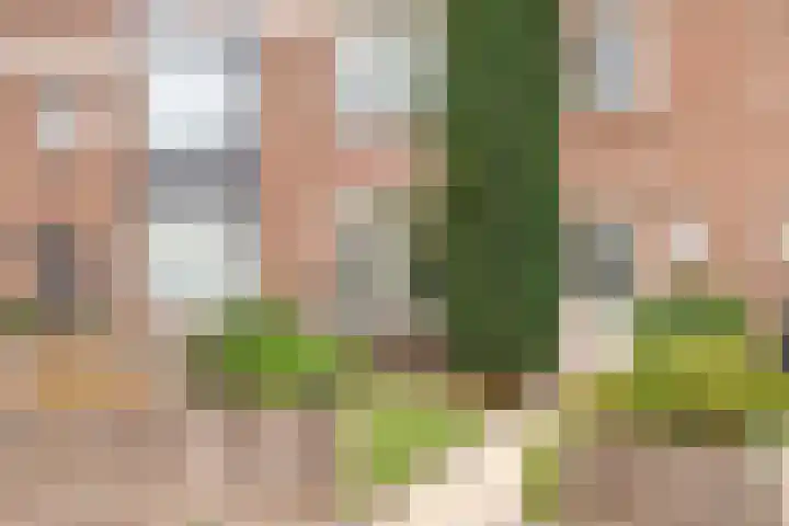 Talmastraat 12 Oss thumbnail 22