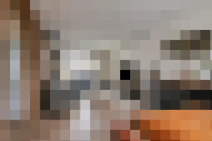Talmastraat 12 Oss thumbnail 4