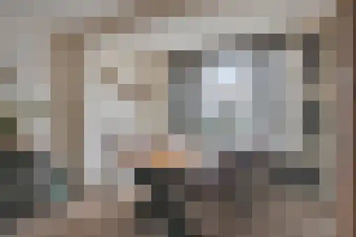 Talmastraat 12 Oss thumbnail 5