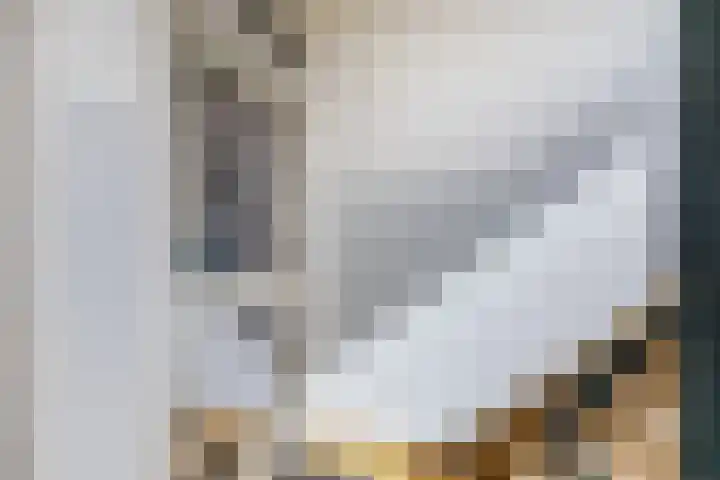 Talmastraat 4 Gouda thumbnail 6
