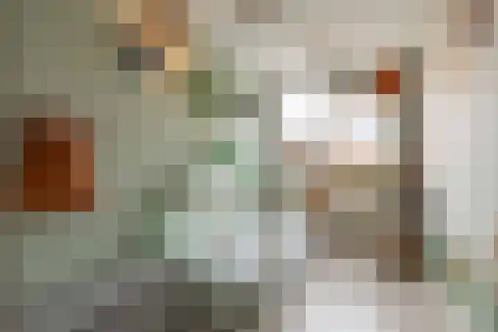 Talmastraat 9 Katwijk thumbnail 32