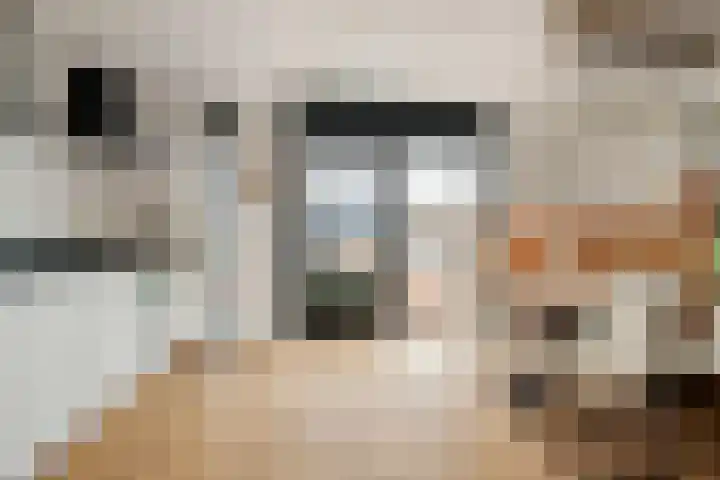 Talmastraat 90 Breda thumbnail 4