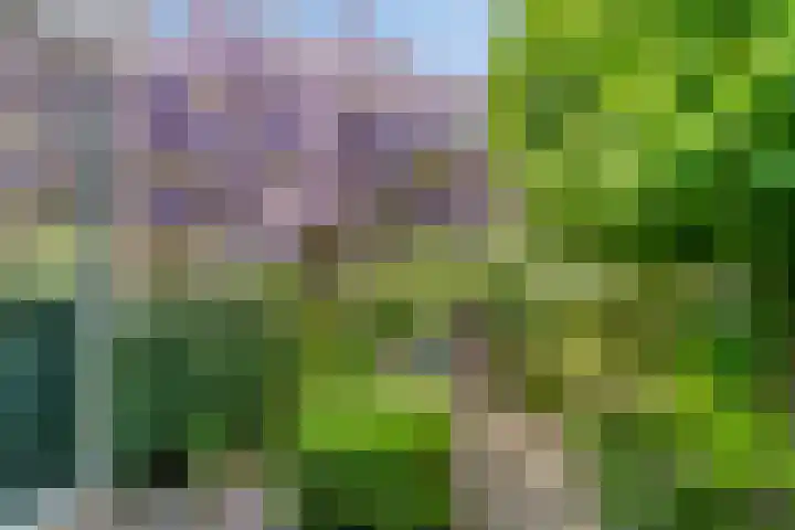 Talmaweg 30 Barendrecht thumbnail 13
