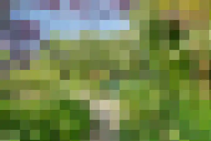 Talmaweg 30 Barendrecht thumbnail 15