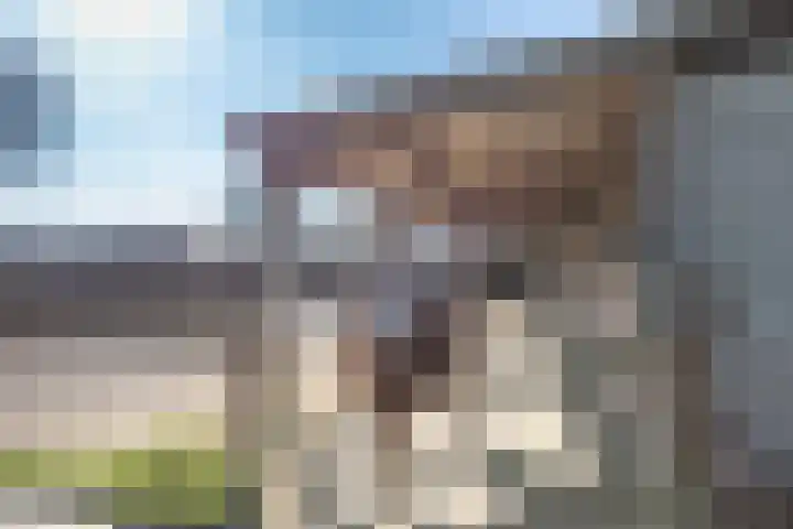 Talmaweg 69 Uithuizen thumbnail 75