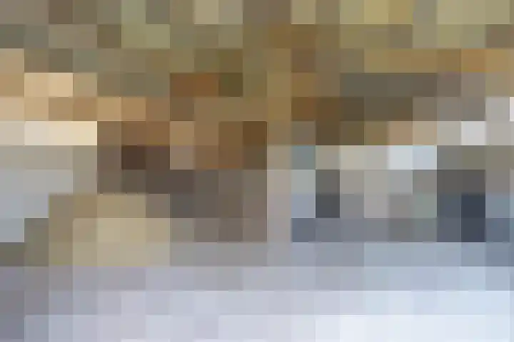 Talmaweg 69 Uithuizen thumbnail 77