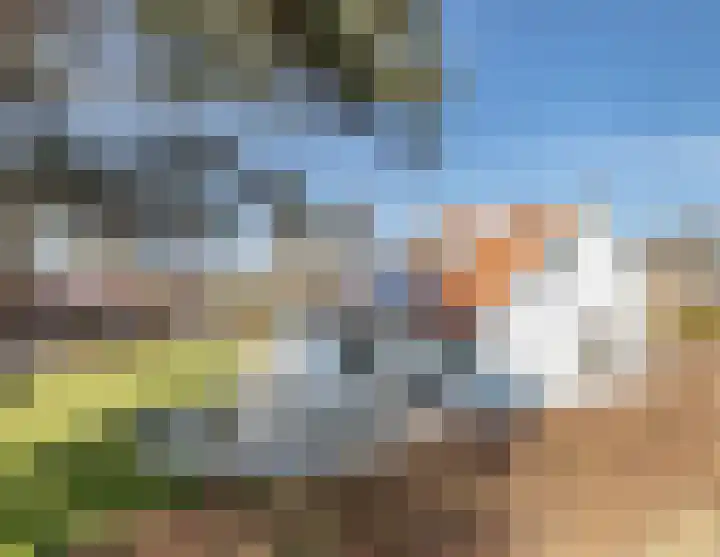 Talmaweg 69 Uithuizen thumbnail 82