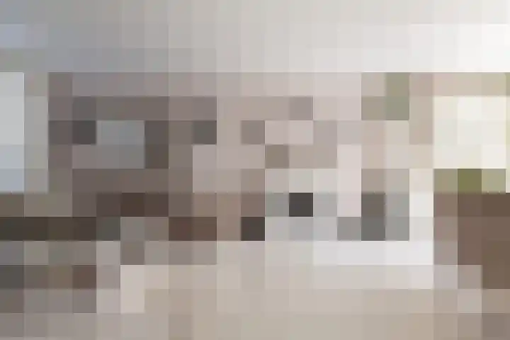 Taludstraat 7 Abbenbroek thumbnail 13