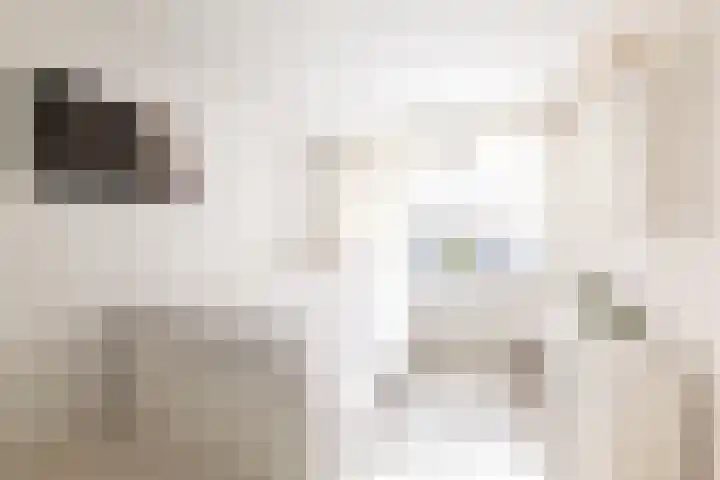 Taludstraat 7 Abbenbroek thumbnail 23