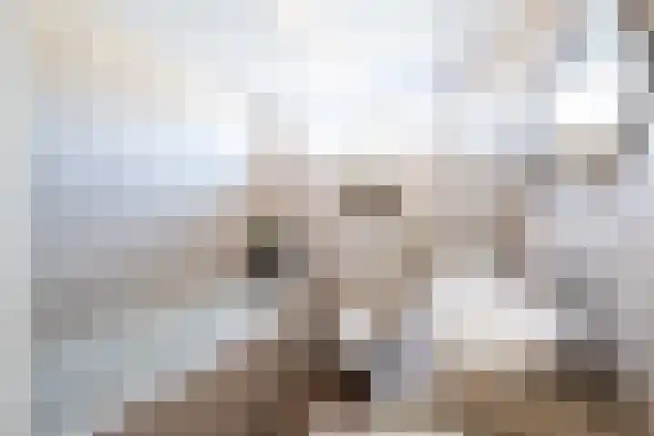 Taludstraat 7 Abbenbroek thumbnail 27