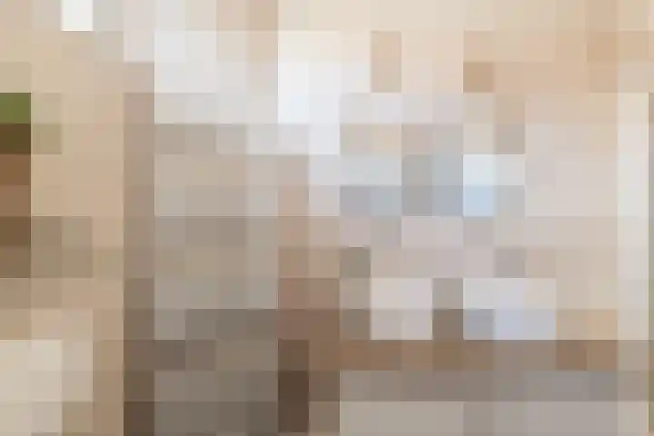 Taludstraat 7 Abbenbroek thumbnail 28
