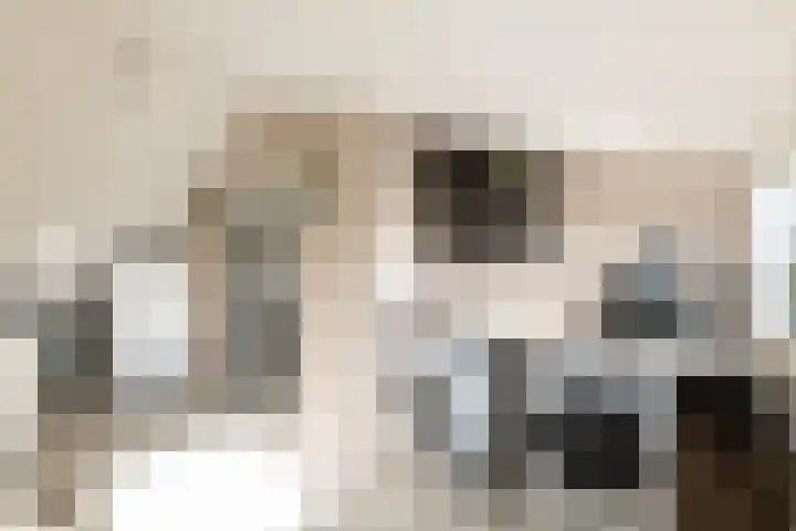 Taludstraat 7 Abbenbroek thumbnail 32