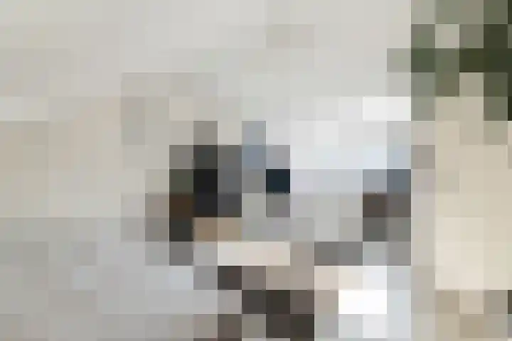 Taludstraat 7 Abbenbroek thumbnail 34
