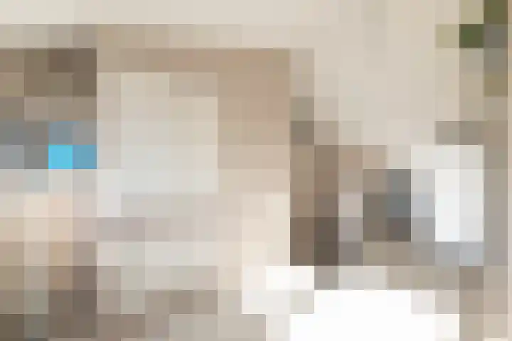 Taludstraat 7 Abbenbroek thumbnail 36