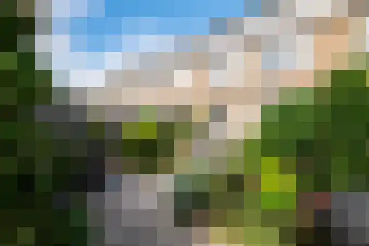 Taludstraat 7 Abbenbroek thumbnail 39