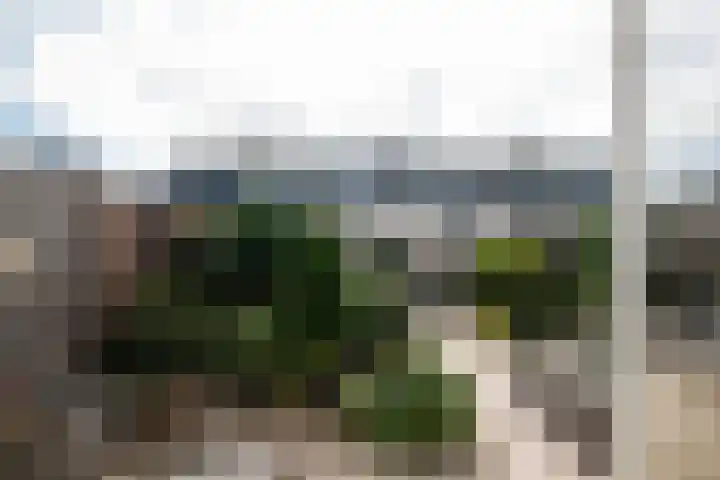 Taludstraat 7 Abbenbroek thumbnail 4
