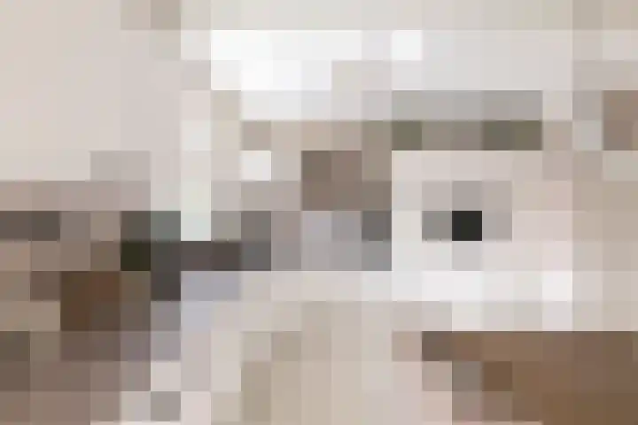 Taludstraat 7 Abbenbroek thumbnail 5