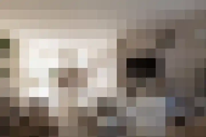 Taludstraat 7 Abbenbroek thumbnail 8