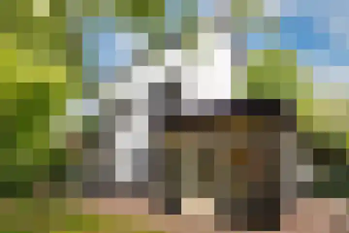 Taludweg 41 Hilversum thumbnail 21