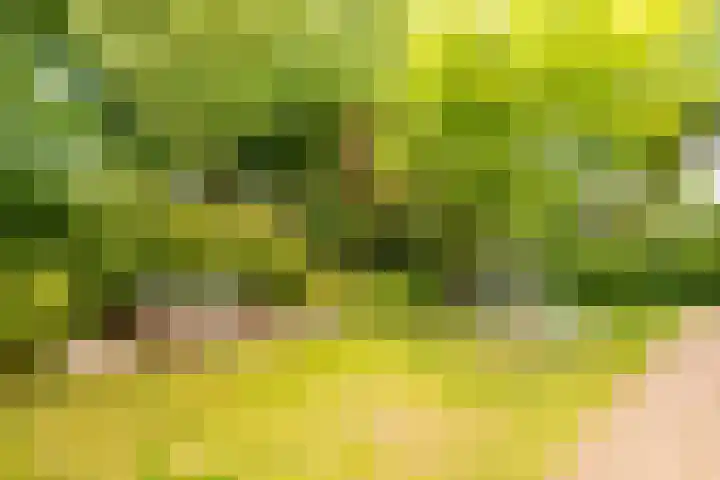 Taludweg 41 Hilversum thumbnail 22