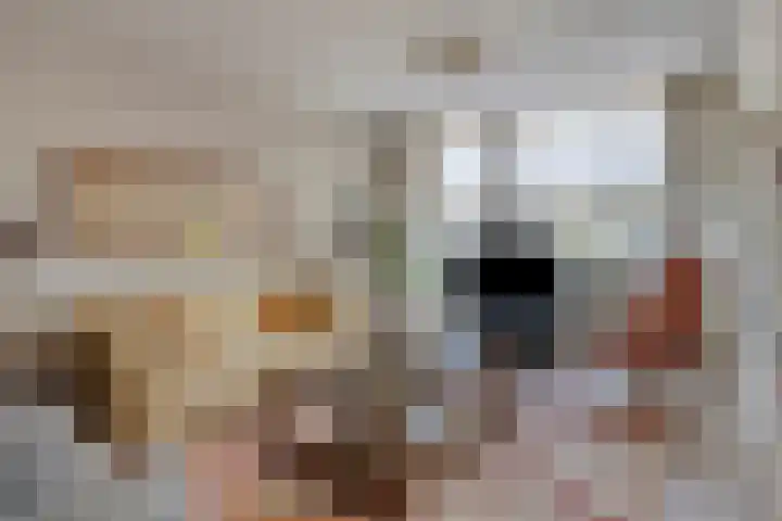 Tamboer 48 Best thumbnail 11