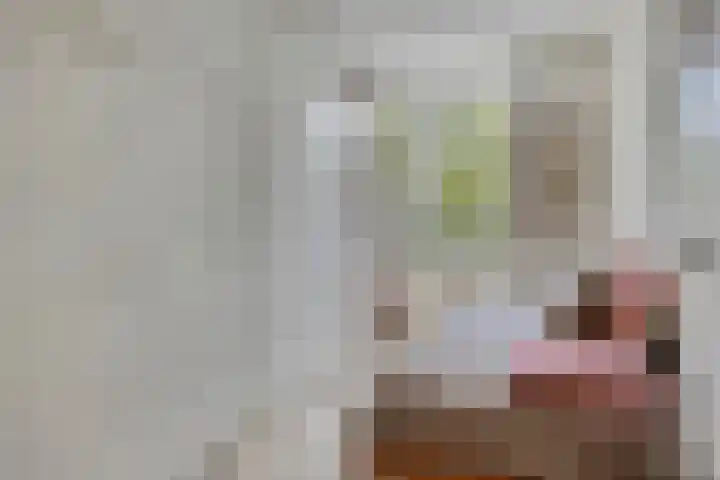 Tamboer 48 Best thumbnail 24