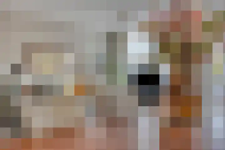 Tamboer 48 Best thumbnail 9