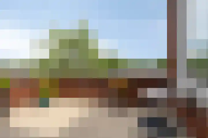 Tamboer 66 Best thumbnail 15