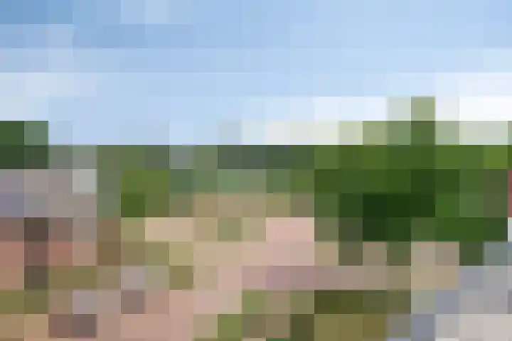 Tamboer 66 Best thumbnail 17